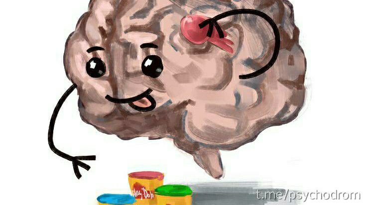 d06f3d53fcc09a1f25d18