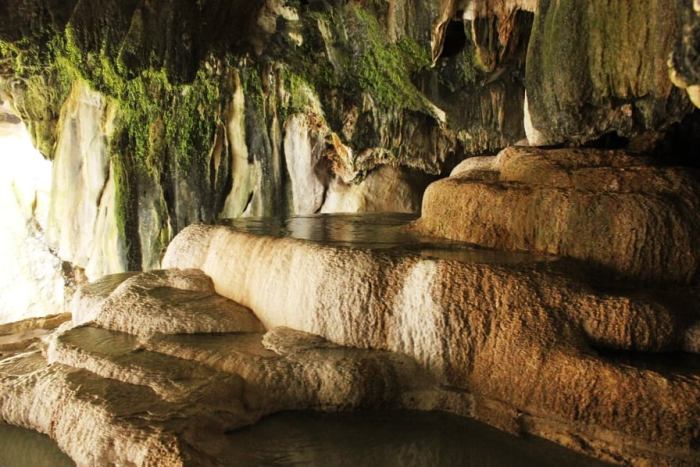 103101954_258334608558752_2636274366756038776_n (1)